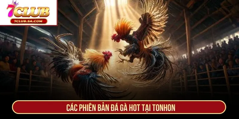 Các phiên bản đá gà hot tại Tonhon