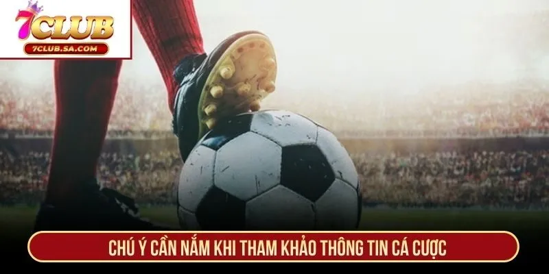 Chú ý cần nắm khi tham khảo thông tin cá cược