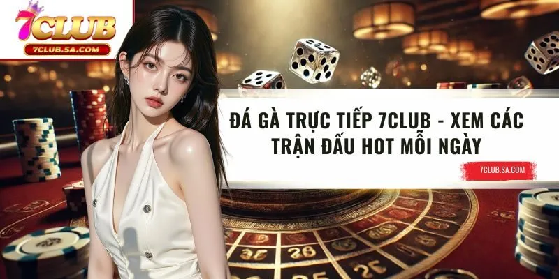 Đá Gà Trực Tiếp 7CLUB | Xem Các Trận Đấu Hot Mỗi Ngày