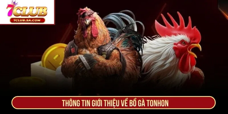 Thông tin giới thiệu cụ thể về bồ gà Tonhon