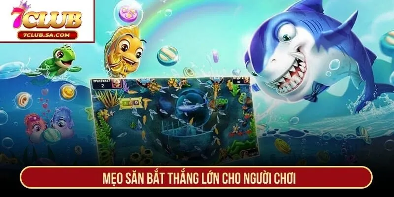 Mẹo săn bắt thắng lớn cho người chơi