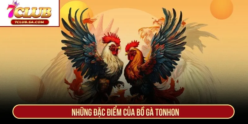 Những đặc điểm của bồ gà Tonhon