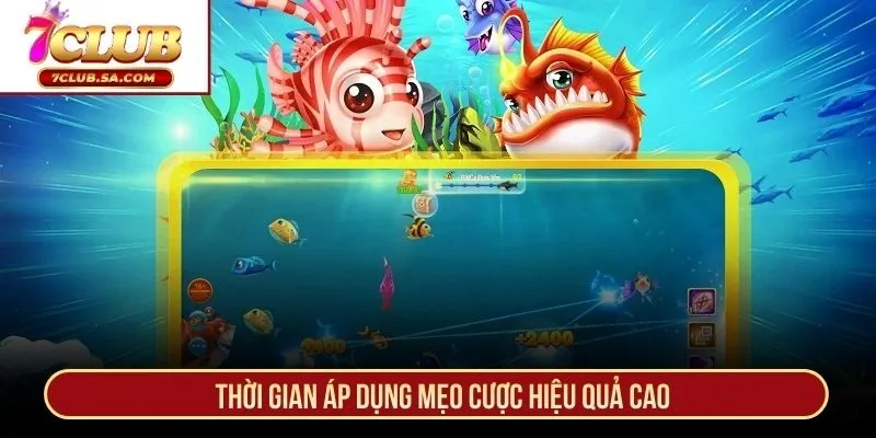 Thời gian áp dụng mẹo cược hiệu quả cao