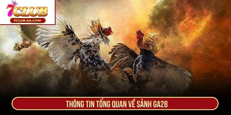 Thông tin tổng quan về sảnh GA28