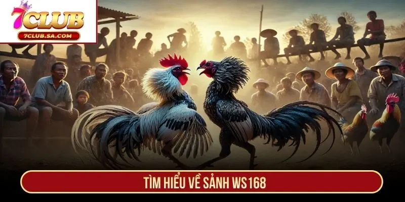 Tìm hiểu về sảnh WS168