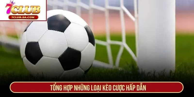 Tổng hợp những loại kèo cược hấp dẫn