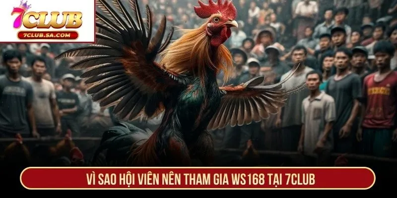 Vì sao hội viên nên tham gia WS168 tại 7CLUB
